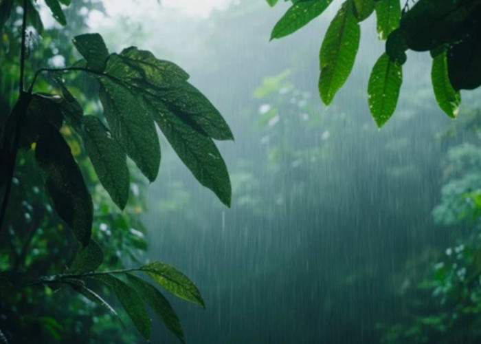 Prakiraan Cuaca Sumsel Hari Ini: Palembang Berpotensi Hujan Ringan, Sejumlah Daerah Berawan