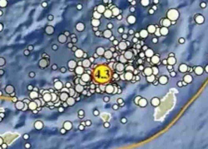 Gempa Magnitudo 4.3 Pagi Ini Guncang Maluku Tenggara Barat, Tak Berpotensi Tsunami