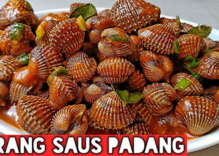 Resep Kerang Dara Saus Padang, Gurih dan Mudah bikin kamu ketagihan