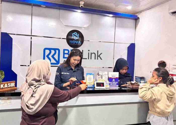 Kisah Inspiratif Nova Yulianti di Muara Enim, Rintis Usaha BRILink hingga Punya 6 Cabang