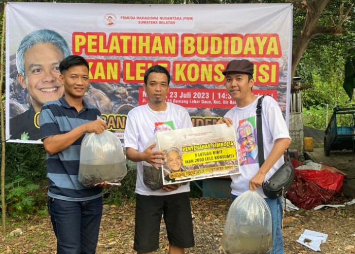 Pemuda Mahasiswa Nusantara Ajak Milenial Latih Budi Daya Ikan Lele di Palembang 