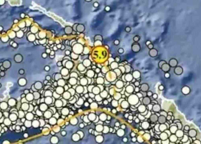 Gempa 5.9 Magnitudo Guncang Keerom Papua, Disini Titik Episentrumnya, Tak Berpotensi Tsunami