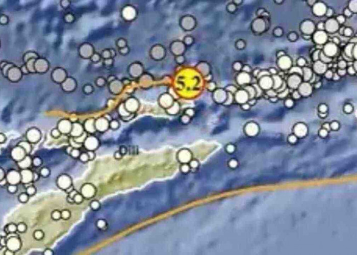 Gempa Magnitudo 5.2 Guncang Maluku Barat Daya, Tak Berpotensi Tsuhami