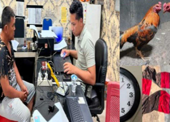 Satreskrim Polres OKU Timur Ringkus Pelaku Perjudian Sabung Ayam di Madang Suku II