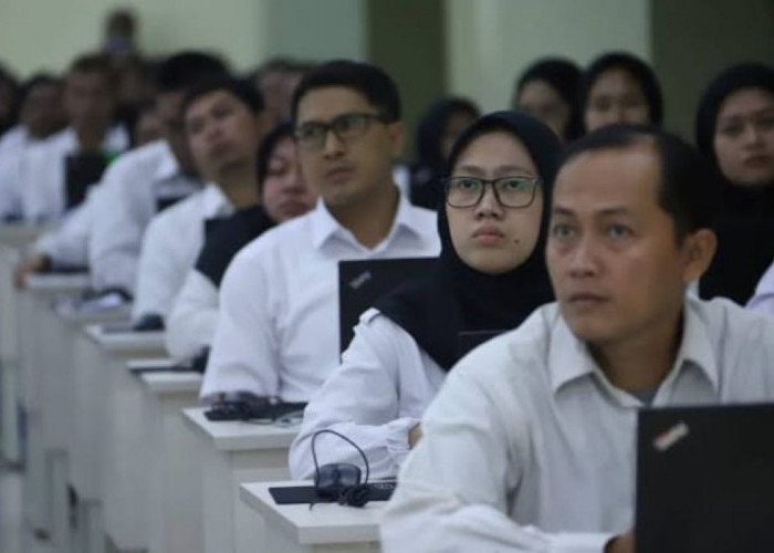 CPNS 2025 Buka 400 Ribu Formasi, Ini 6 Formasi dengan Kuota Terbanyak dan Gaji Tertinggi