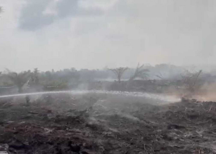 Tujuh Jam Operasi, Tim Gabungan Polda dan Manggala Agni Padamkan Api di Desa Cinta Jaya