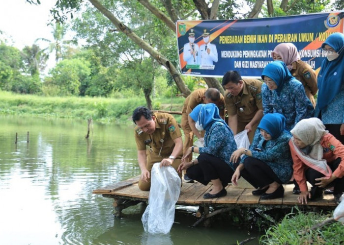 Wujud Kepedulian Pemkot Prabumulih, Ridho Yahya Tebar 15 Ribu Ikan di Kolam Retensi Karang Raja
