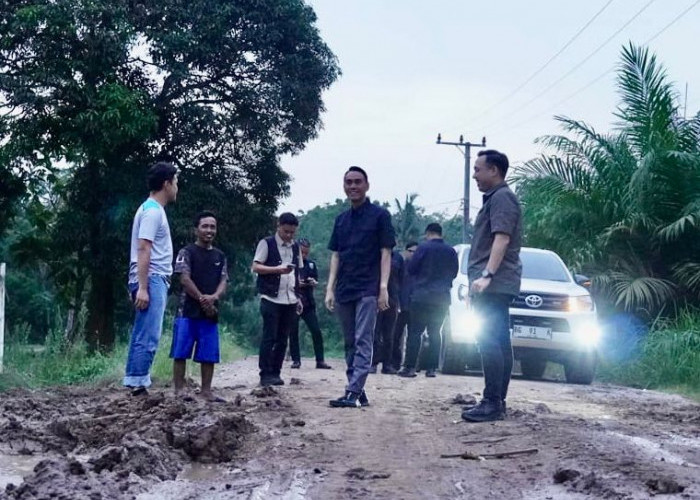 Bupati Muchendi Tinjau Kerusakan Jalan Poros Cengal, Minta Perusahaan Buka Jalur Alternatif