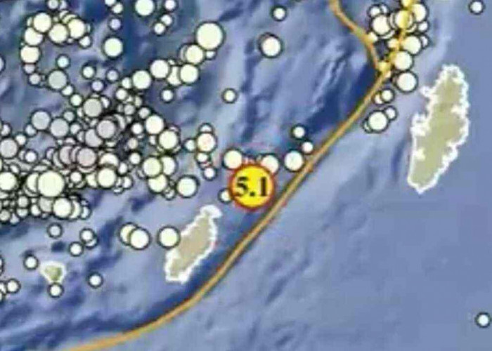Gempa Magnitudo 5,1 Guncang Maluku Tenggara Pagi Ini, Tak Berpotensi Tsunami
