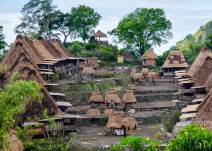 Mengulik Desa Unik Berusia Ribuan Tahun, Kehidupan Warga di Kampung Adat NTT Ini Kental Akan Mistis