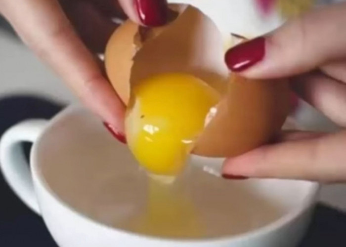 Sebaiknya Anda Tahu! Ini 6 Manfaat Mengonsumsi Putih Telur