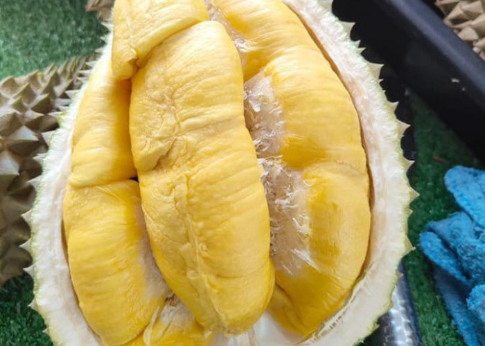 Suka Durian? 5 Rekomendasi Tempat Makan Durian di Palembang Ini Bisa Kamu Coba Loh