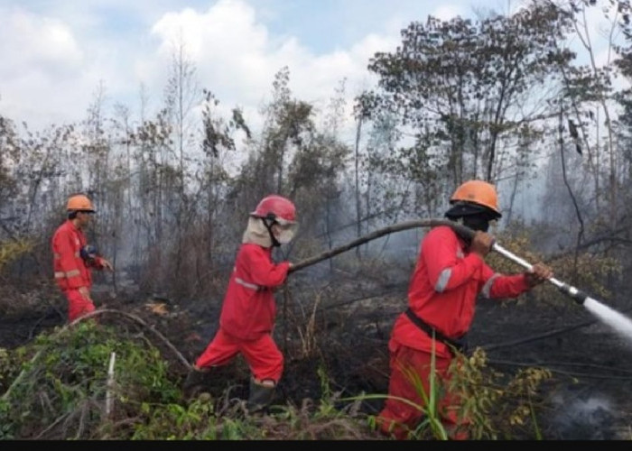 WADUH! 4 Hektare Lahan di Banyuasin Ludes Terbakar, Ada Indikasi Sengaja Dibakar