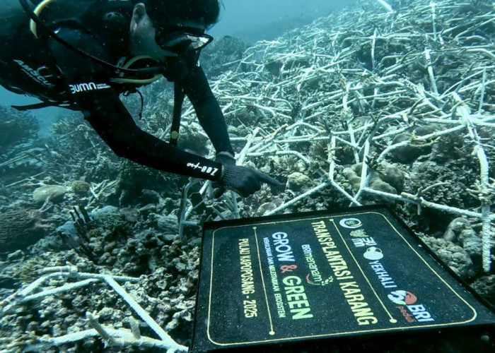 Melalui BRI Menanam – Grow and Green, BRI Pertegas Komitmen Jaga Ekosistem Lingkungan 