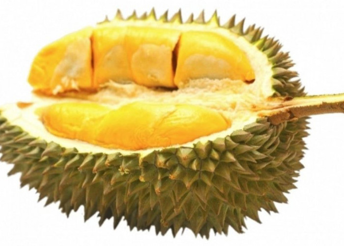 Ini 9 Manfaat Buah Durian untuk Kesehatan Tubuh, Nomor 7 Penting Bagi Mata