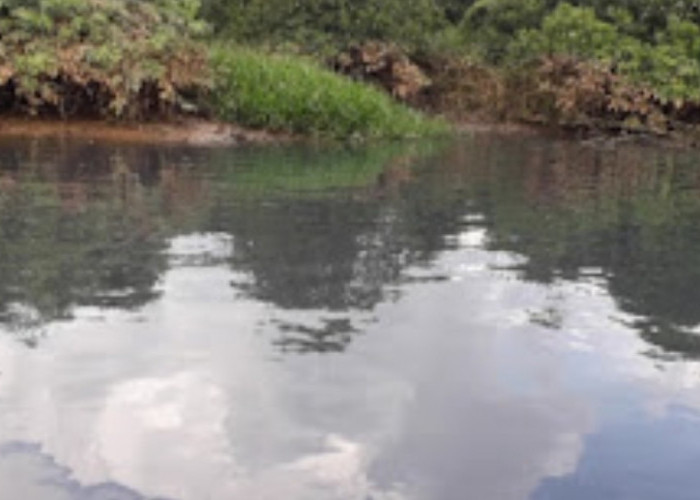 Anak Sungai Gasing Diduga Tercemar Limbah