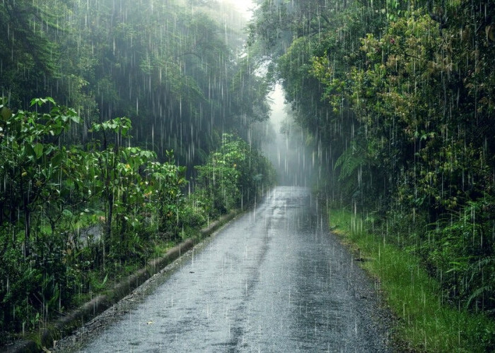 Prakiraan Cuaca Hari Ini 6 Mei 2024 di Wilayah Sumsel, Potensi Hujan Lebat Disertai Petir 
