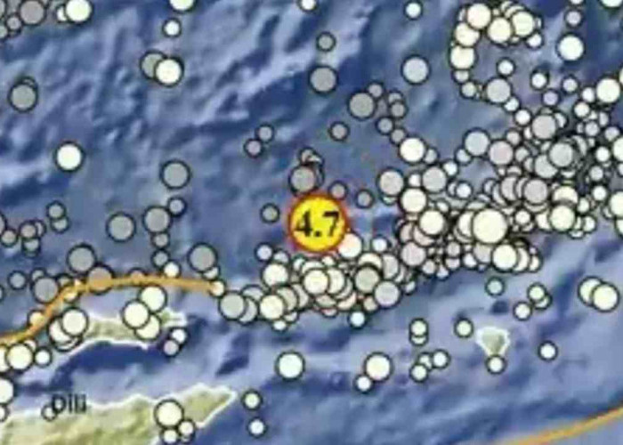 Rentetan Gempa Terjadi Pagi Ini, Maluku Barat Daya Jadi yang Terbesar