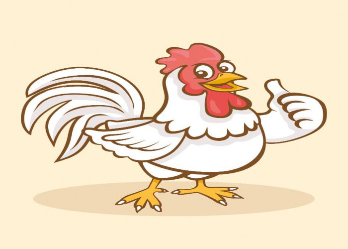 Tenyata Ayam berkokok Dimalam Hari Pertanda Gempa Bumi?, Benarkah?, Simak Dibawah Penjelasannya