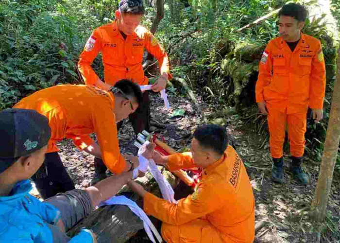 Tergelincir dan Jatuh 6 Meter di Gunung Dempo, Pendaki 19 Tahun Dievakuasi Tim SAR