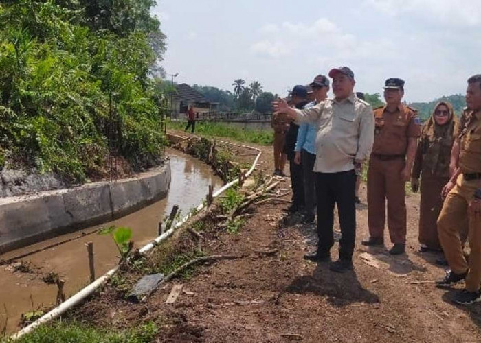 Bupati Bursah Zarnubi Siap Tebar 500 Ribu Benih Ikan Demi Sulap Tebat Mbahangan Jadi Ikon Agrowisata Baru