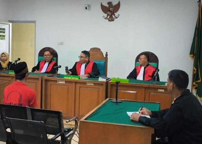 Sidang Putusan Penjual Satwa Dilindungi di Palembang Akhirnya Ditunda, Ini Penyebabnya