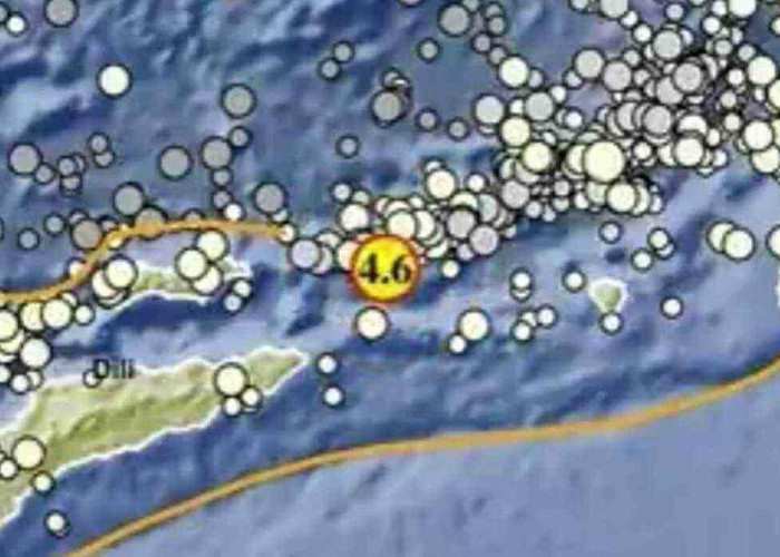 Gempa 4.6 Magnitudo Pagi Ini Terjadi Maluku Barat Daya, Tak Berpotensi Tsunami