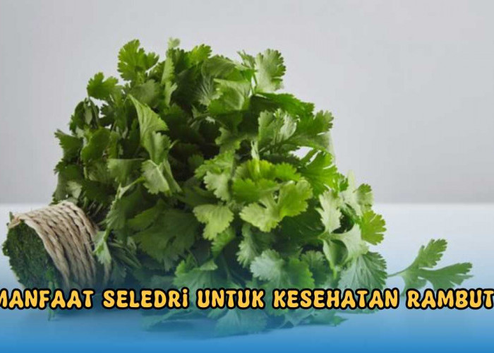 Tak Hanya Jadi Bumbu Masakan, Daun Seledri Bisa Jadi Kondisioner Rambut, Cara Buatnya Simpel!