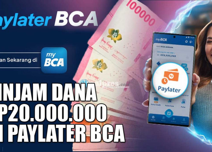 Pinjam Dana Rp20.000.000 di Paylater BCA, Begini Cara Pengajuannya