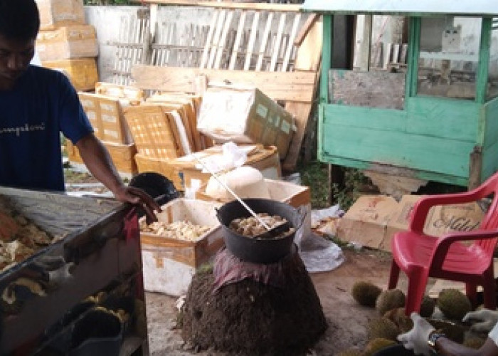 Sehari Bisa Kirim Pesanan 30 Ton Durian