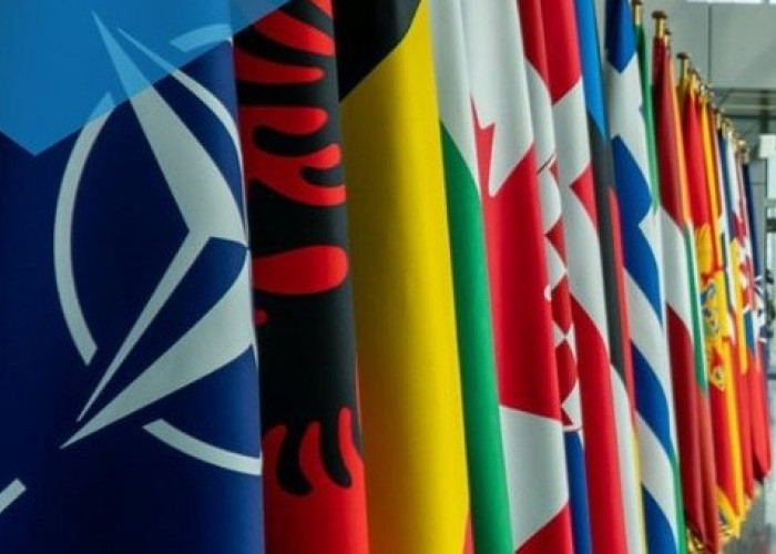 Makin Panas! 11 Negara NATO Tolak Ukraina  