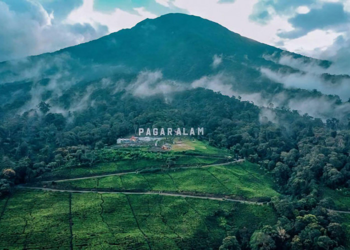 Rekomendasi 5 Tempat Liburan Akhir Tahun di Sumatera Selatan, Ada Wisata Gunung Hingga Kampung Warna Warni 