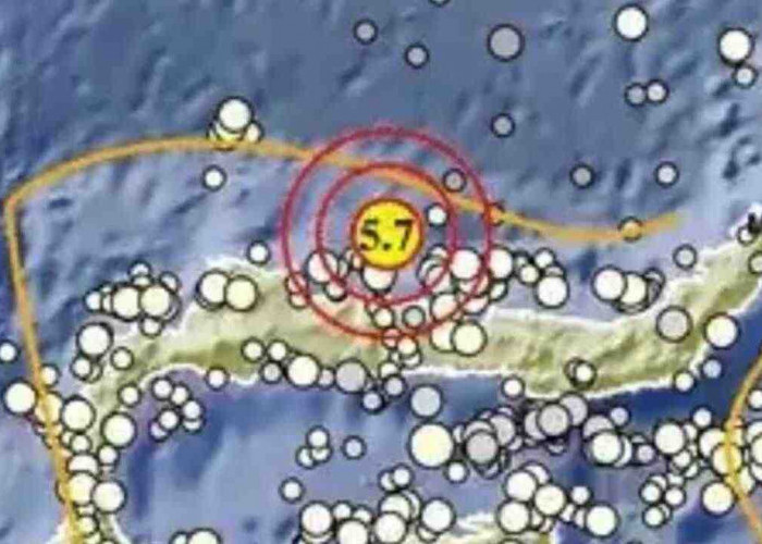 Gempa Magnitudo 5,7 Guncang Buol Sulteng Pagi Ini, Tak Berpotensi Tsunami