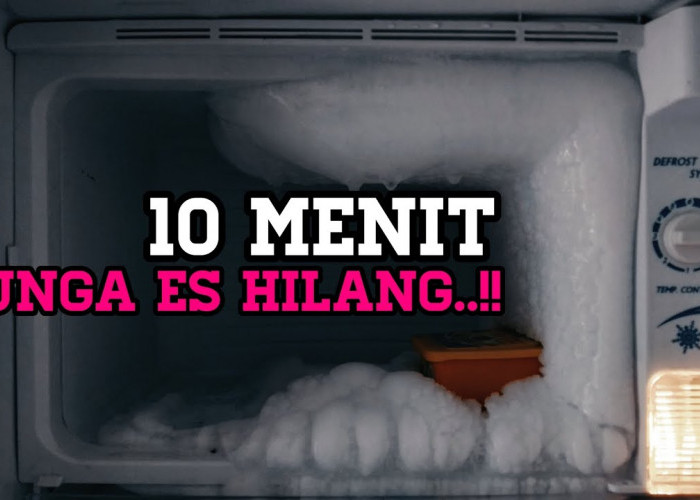Begini 5 Cara Mudah Hilangkan Bunga Es dari Freezer Kulkas Tanpa Cabut Colokan, Cair dalam Hitungan Menit
