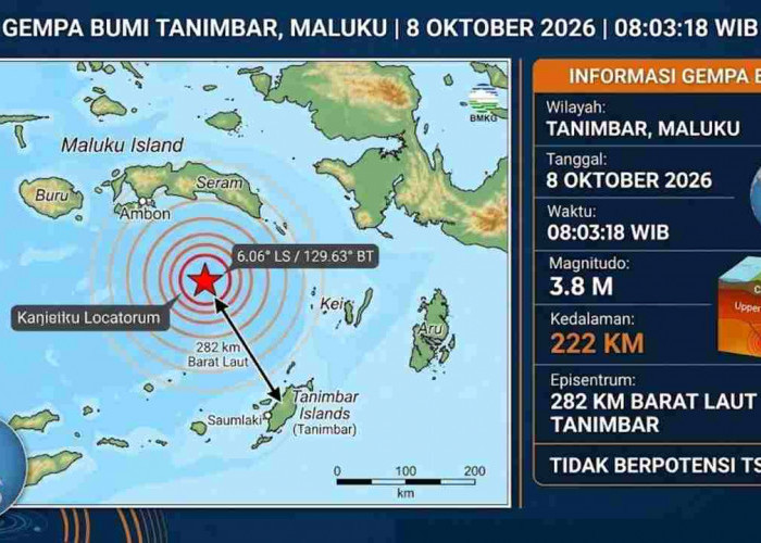 Gempa Magnitudo 3,8 Guncang Tanimbar Pagi Ini, BMKG Pastikan Tak Berpotensi Tsunami