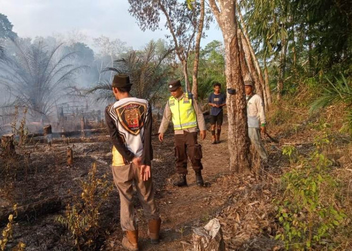 BPBD Muba Berhasil Padamkan Lahan Terbakar Seluas 1 Hektar, Ini Lokasinya