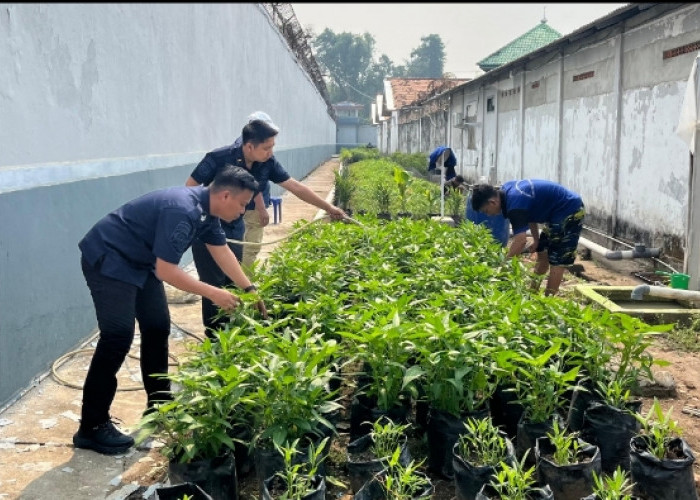 Tak Hanya Jalani Pembinaan, Warga Binaan Lapas Sekayu Belajar Bertani dan Mandiri