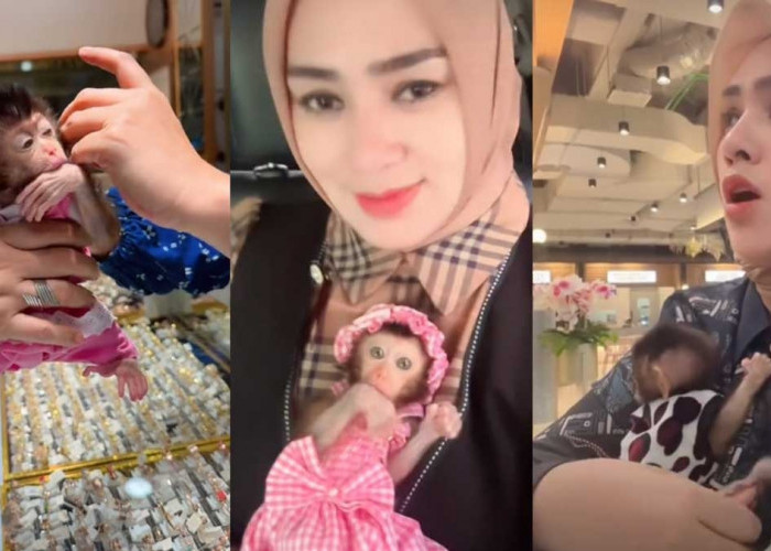 Kisruh Selebgram Palembang yang bawa monyet ke Mal Memasuki Babak Baru, Pihak PIM Kini Angkat Bicara 