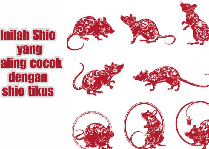 Astrologi Cina: Tikus Paling Cocok dengan Shio Ini, Menghasilkan Harmoni yang Menggetarkan Hati, Bisa Tebak?