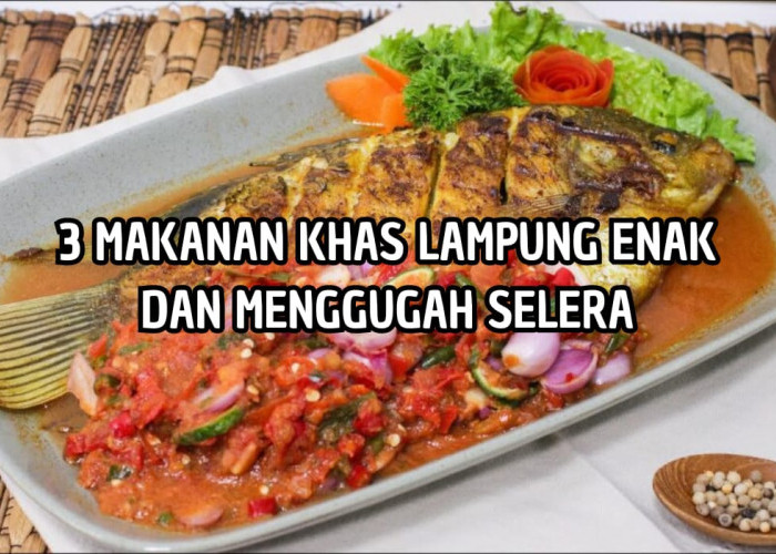 Soal Rasa Jangan Ditanya, Ada yang Buat Keringat Bercucuran, Ini 3 Makanan Khas Terenak di Lampung
