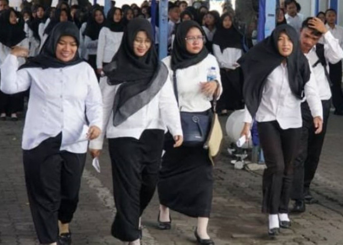 Seleksi CPNS 2026 Berbeda, Pelamar Wajib Tahu Skema Baru Ini
