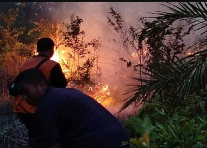 WADUH! 10 Hektar Lahan Milik Perusahaan Perkebunan di Muba Terbakar