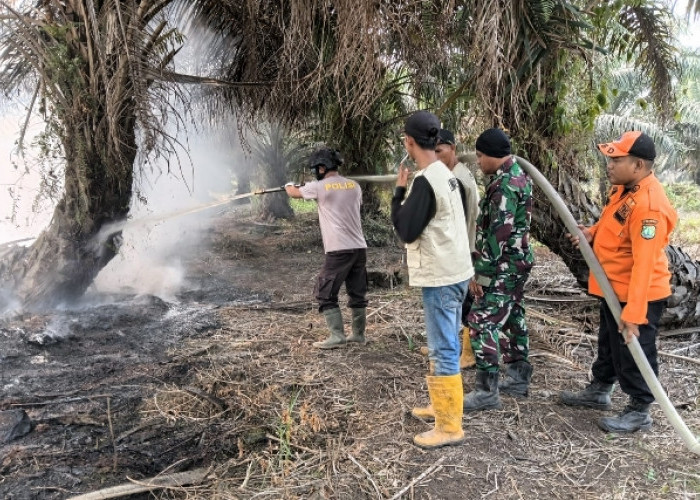 Anggota Polsek Sanga Desa Bersama Petugas Padamkan Karhutla di Desa Air Balui, Akses Lokasi Jadi Kendala