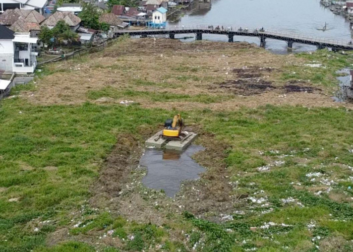 Ini Upaya DPUPR OKI Bersihkan Gulma di Jembatan Belanti