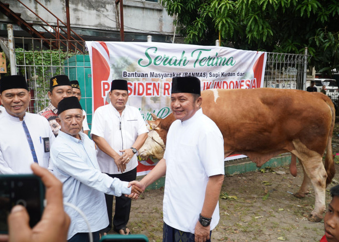 Tinjau Pemotongan Hewan Qurban, Herman Deru Minta Disalurkan Kepada yang Berhak Menerimanya