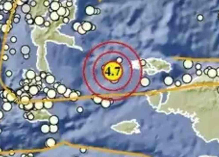 Rentetan Gempa Dini Hari Guncang Papua Barat dan Maluku, Getaran Terkuat di Raja Ampat