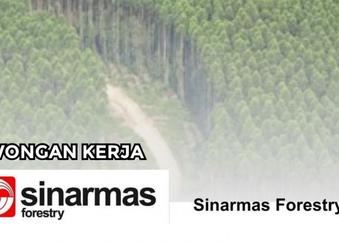 Lowongan Kerja Sinarmas Forestry Grup Sinarmas Fresh Graduate SMA SMK D3 S1 Tersedia 10 Posisi Jabatan Menarik