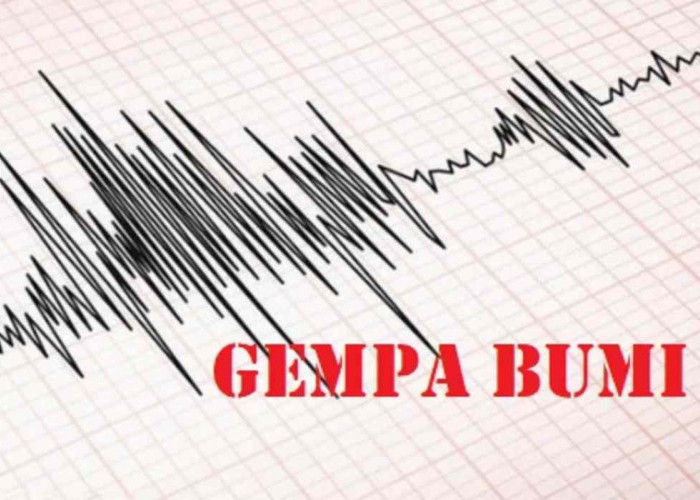 Gempa Bumi Guncang NTT dan Papua, Juga Dirasakan hingga NTB