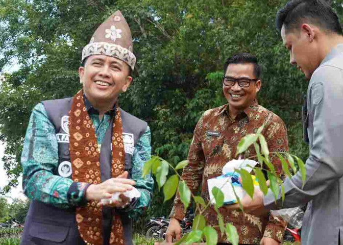 Gaharu, Komoditi Unggulan Baru di Sumsel, Agus Fatoni Launching Pelestarian Pohon Gaharu