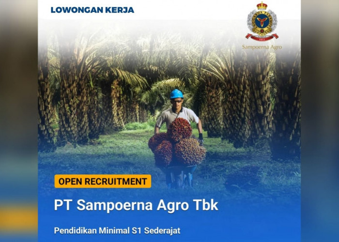 Lowongan Kerja Sumatera Selatan dari PT Sampoerna Agro Tbk Tersedia 3 Posisi Jabatan Cek Persyaratannya